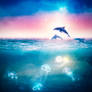 Fun in the sea