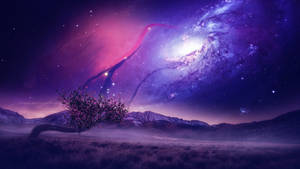 Eternity tree