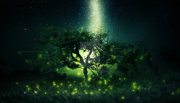 Fireflies tree