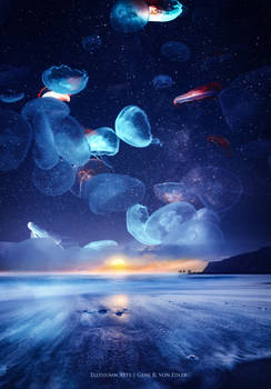 What belongs to the sea