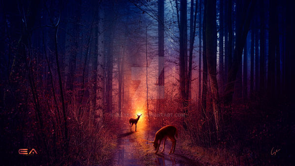 The deer path