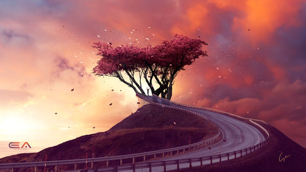 Bridge to the light