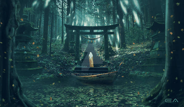 Entrance to the sacred forest