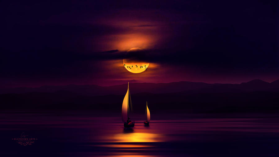 Under the purple night