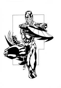 Dark hawk