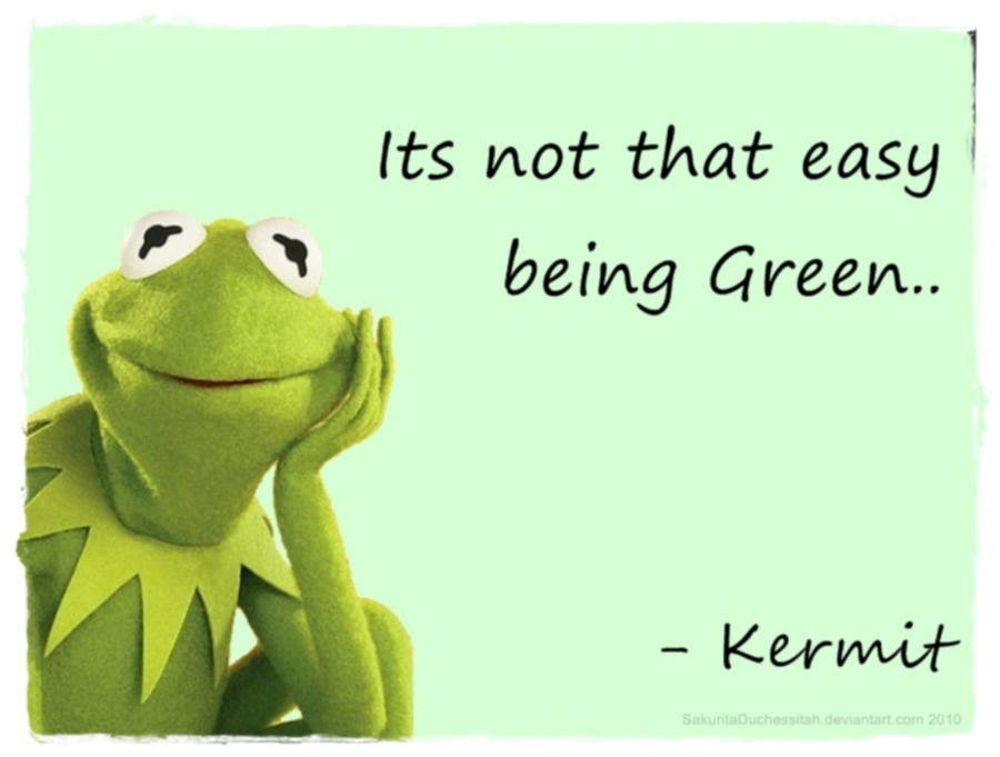 Kermit The Frog Wallpaper By Sakuritaduchessitah On Deviantart Kermit The Frog Wallpaper By Sakuritaduchessitah On Deviantart