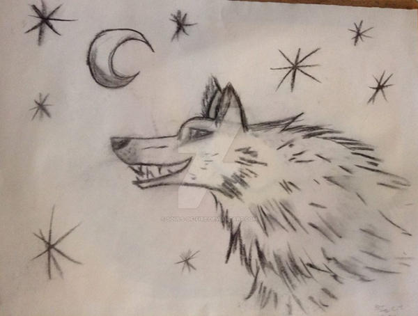 Stars and Wolf