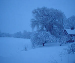 Winterland