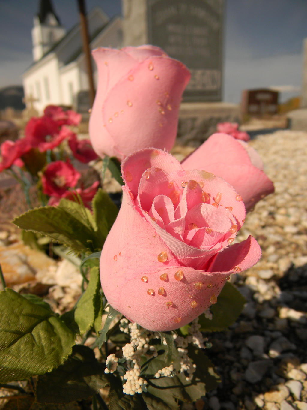 Cemetery Flowers (3)