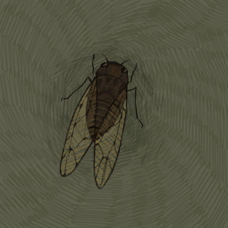 Rcom 70 Insect new insect! by irisovycompot on DeviantArt