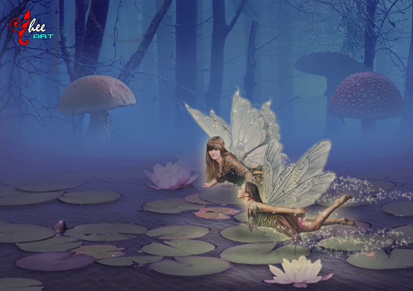 Fairies in the swamp - dheean