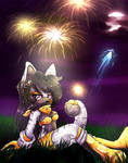 .:Fireworks:. by Sancosity