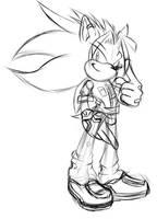 .:Zack The Hedgehog:. WIP