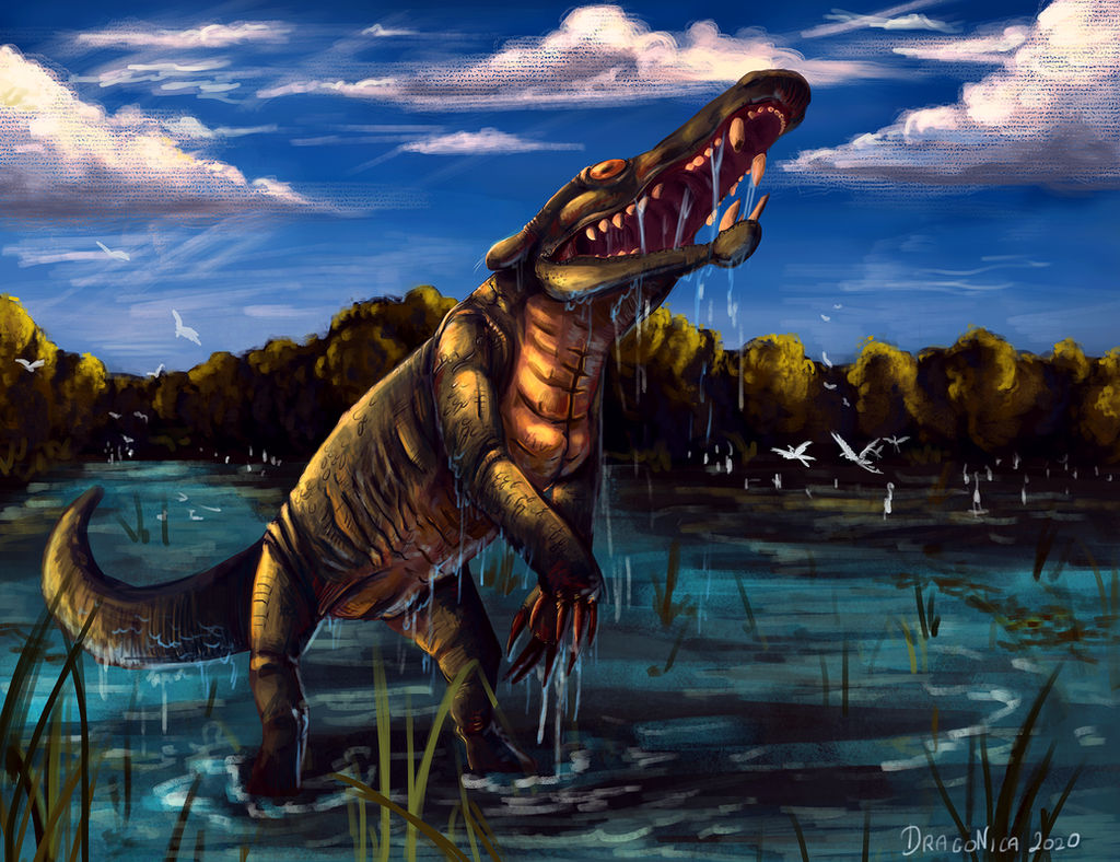 Bunyip Animation Bunyip by DragoNicaArt on DeviantArt