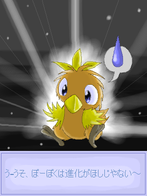 Achamo - Torchic