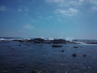 Cali Ocean 2