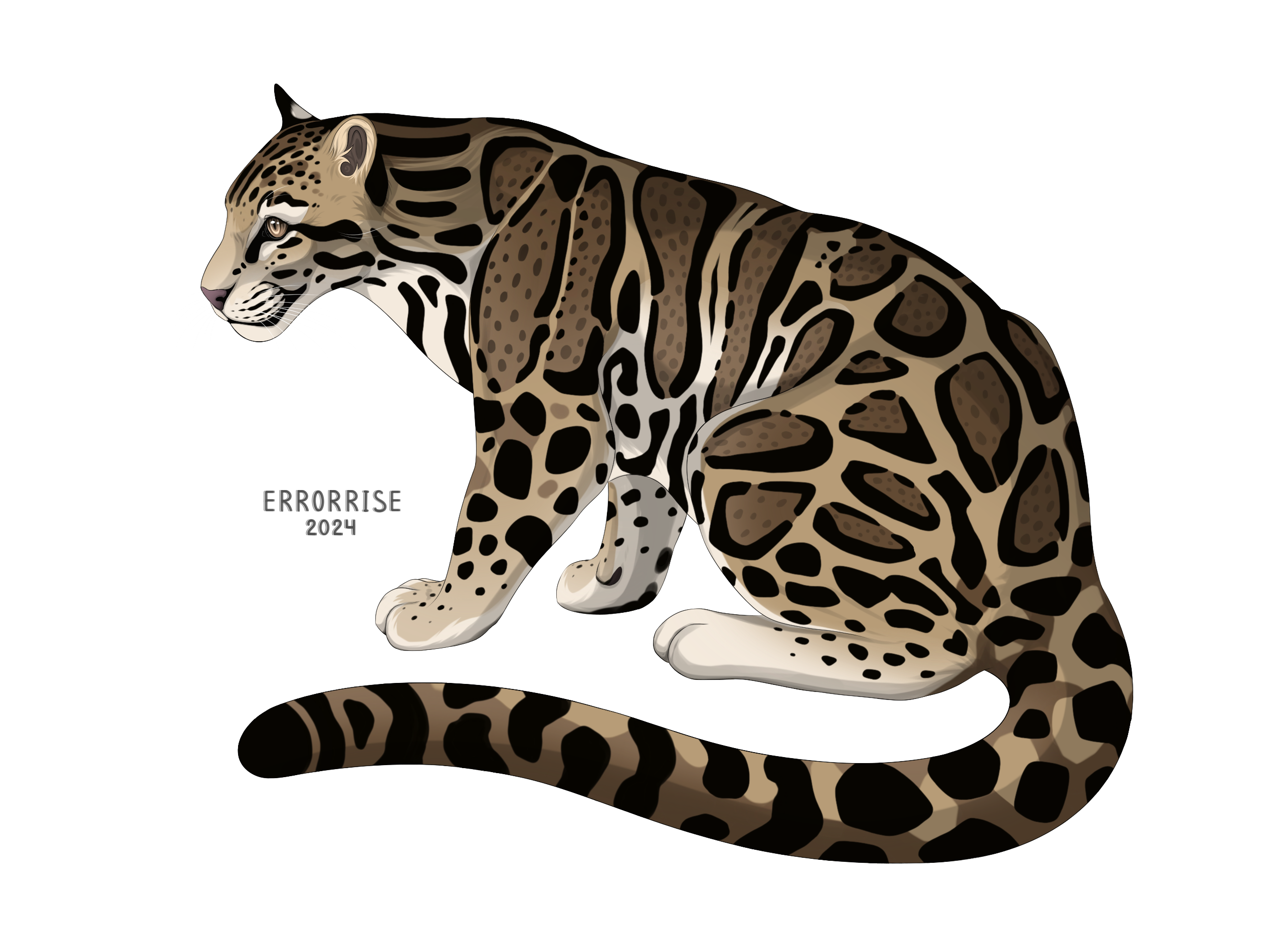 Clouded Leopard on FelineCharacters - DeviantArt