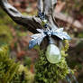 Aconitum napellus - Aconite, Green Garnet