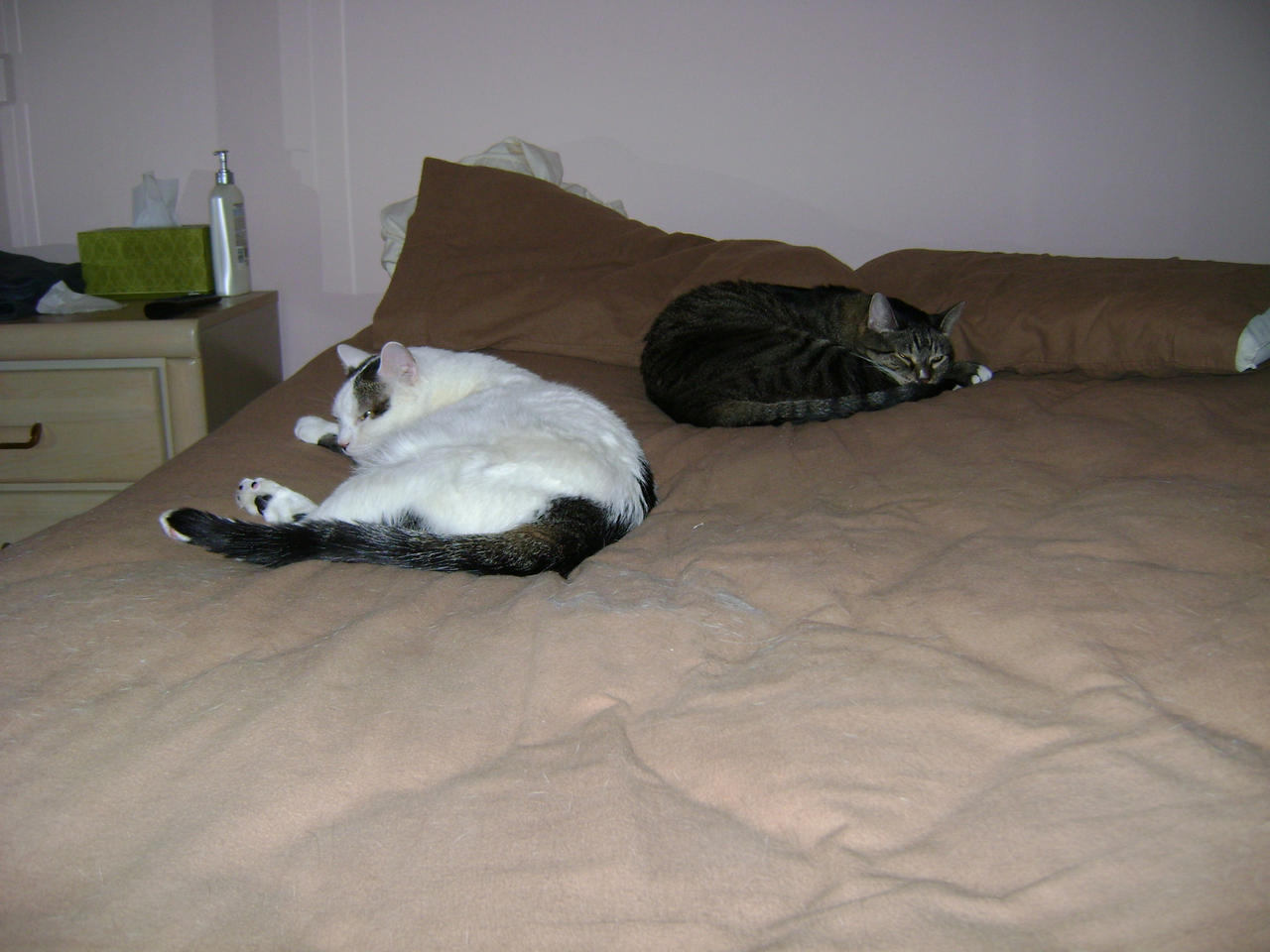 Snuggle buddies