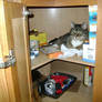 Nesting Tigger