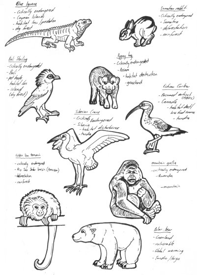Endangered Animals pt 2 by lemurkat on DeviantArt Endangered Animals pt 2 by lemurkat on DeviantArt