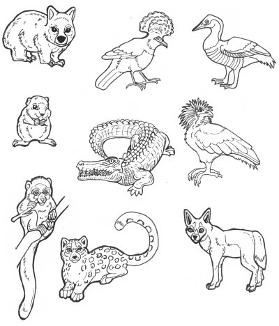 More Endangered Animals by lemurkat on DeviantArt More Endangered Animals by lemurkat on DeviantArt