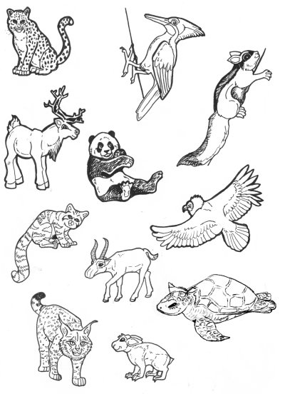 Even More Endangered Animals by lemurkat on DeviantArt Even More Endangered Animals by lemurkat on DeviantArt
