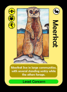 ZooTrophy Card: Meerkat