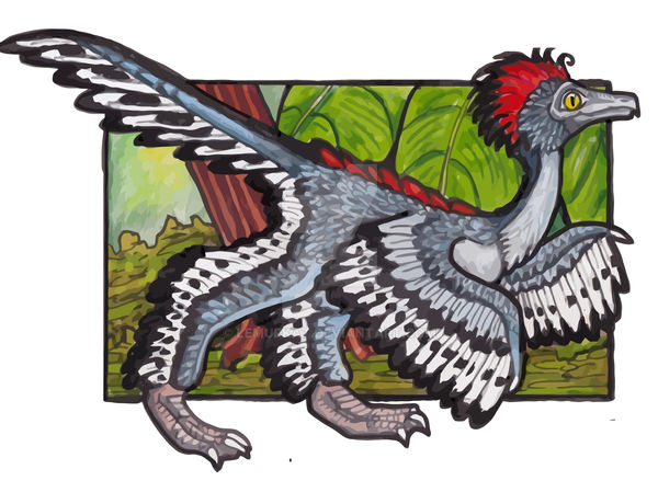 Feathered Dinosaur: Anchiornis huxleyi