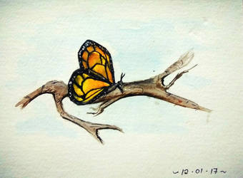 Monarch butterfly 