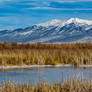 Blanca from the Refuge - 2015