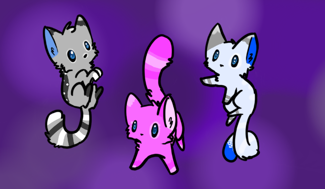 (5 Point Each) Kitten Adopts