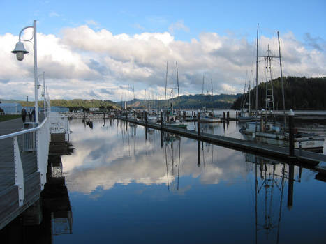 Winter at Florence Harbor