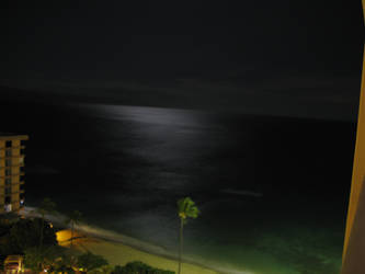 Maui moonlight