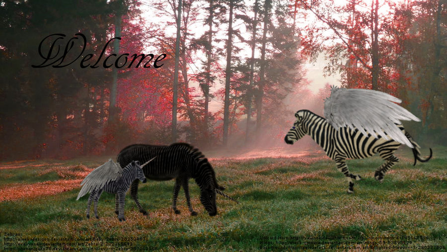 Magical Zebras