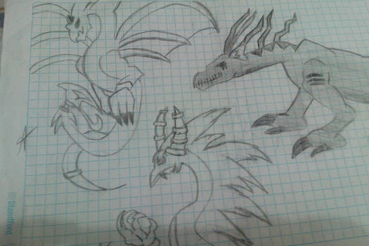 dragones