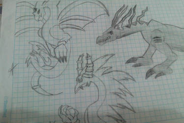 dragones