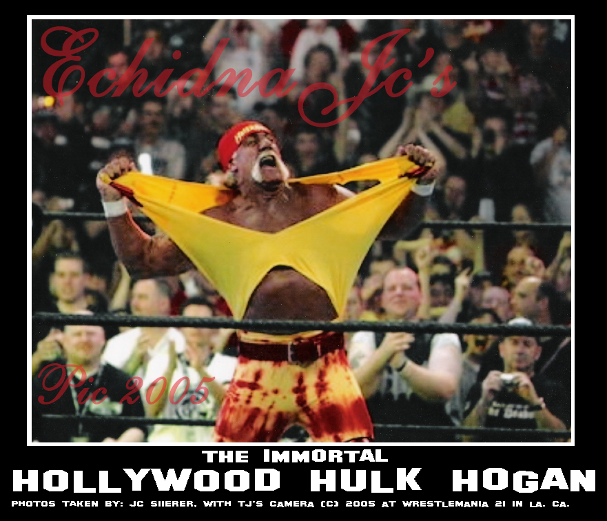 HULK HOGANS BACK AT WM21