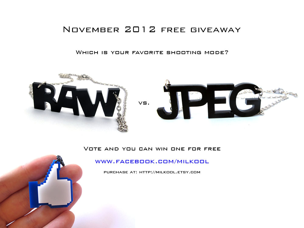 Raw vs Jpeg necklace