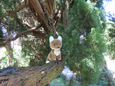 Plushie in the park 11