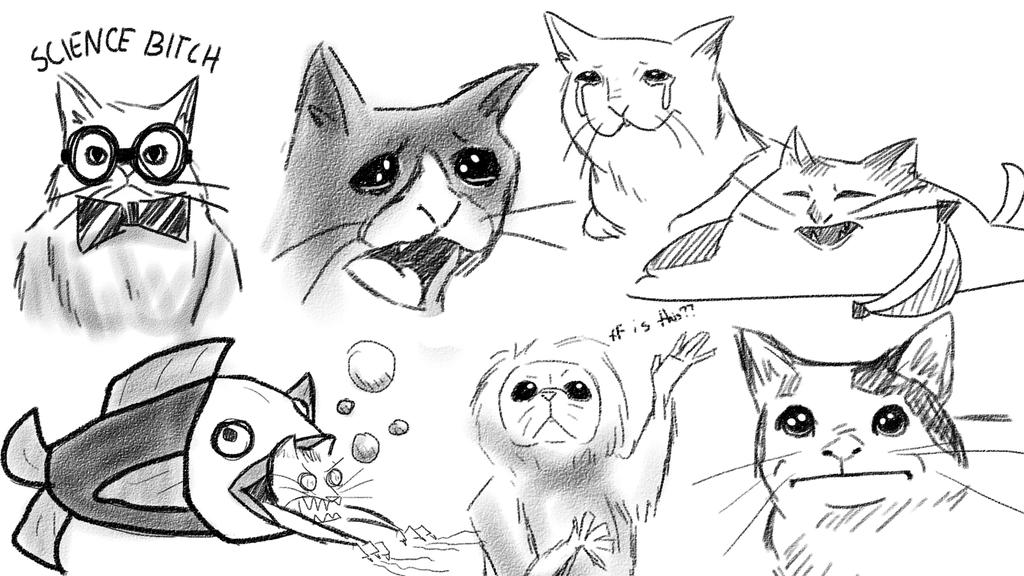 Daily Doodle 5 Cat Memes By Muxidrud On DeviantArt daily-doodle-5-cat-memes-by-muxidrud-on-deviantart