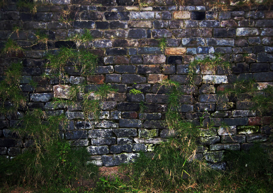 Wall with grass background