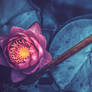 Quietude