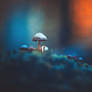 Chaleur Hivernale
