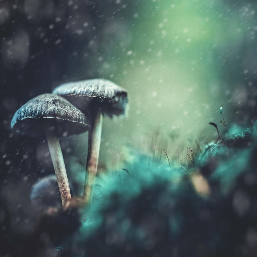 Winter's come