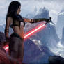 Star Wars - The Last Order