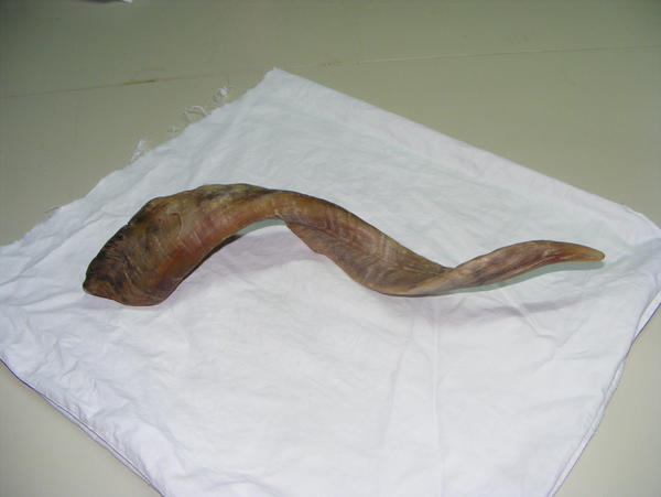 Goat horn