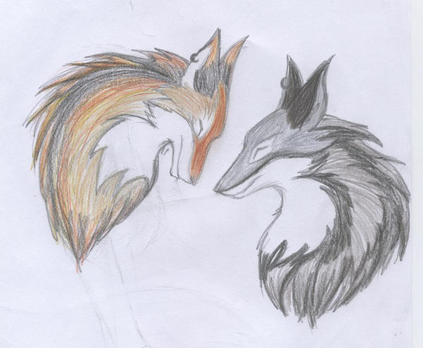 Рисунки лисов и волков. Лиса карандашом для срисовки. Лиса и волк для срисовки. Лисы карандашом. Рисунок лисы для срисовки.