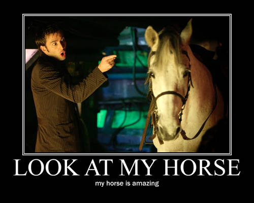 Doctor Who Horse