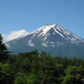 Mount Fuji through the trees